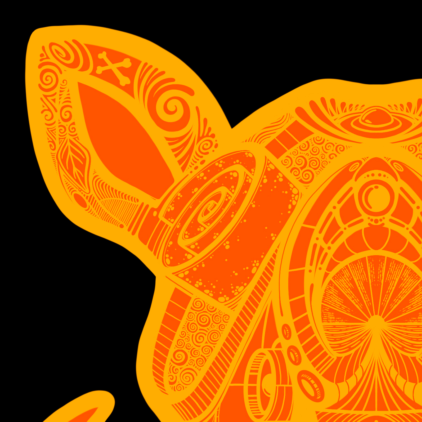Boar03