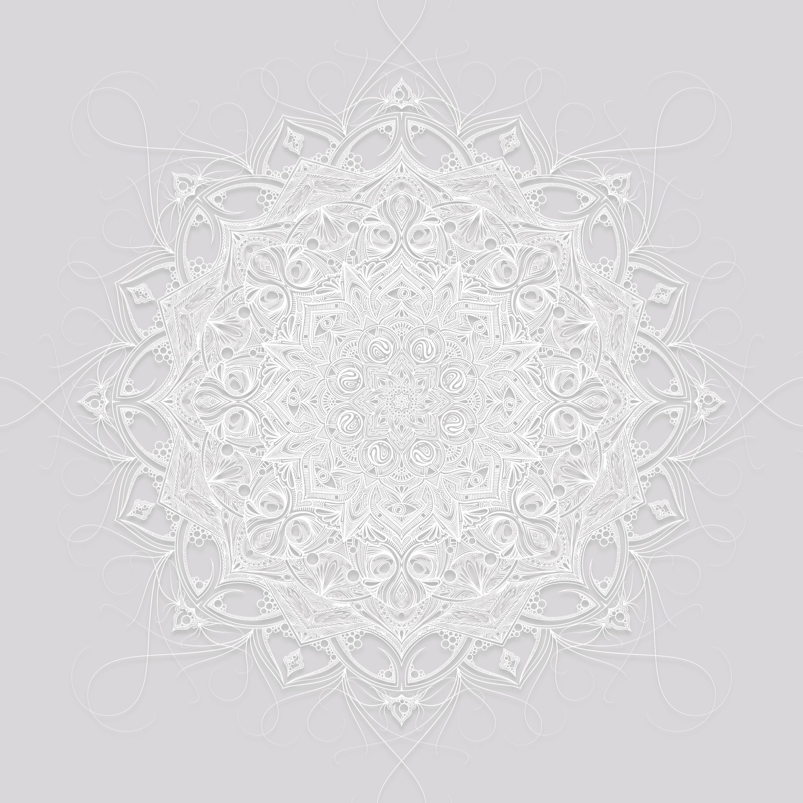 Paper_Lace_01