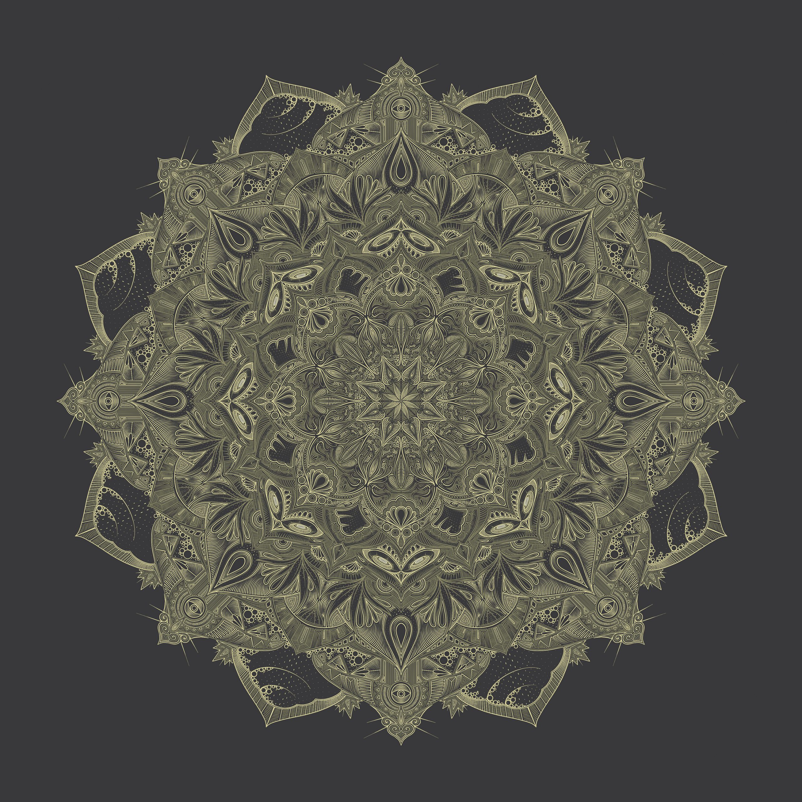 The_Turtle_01